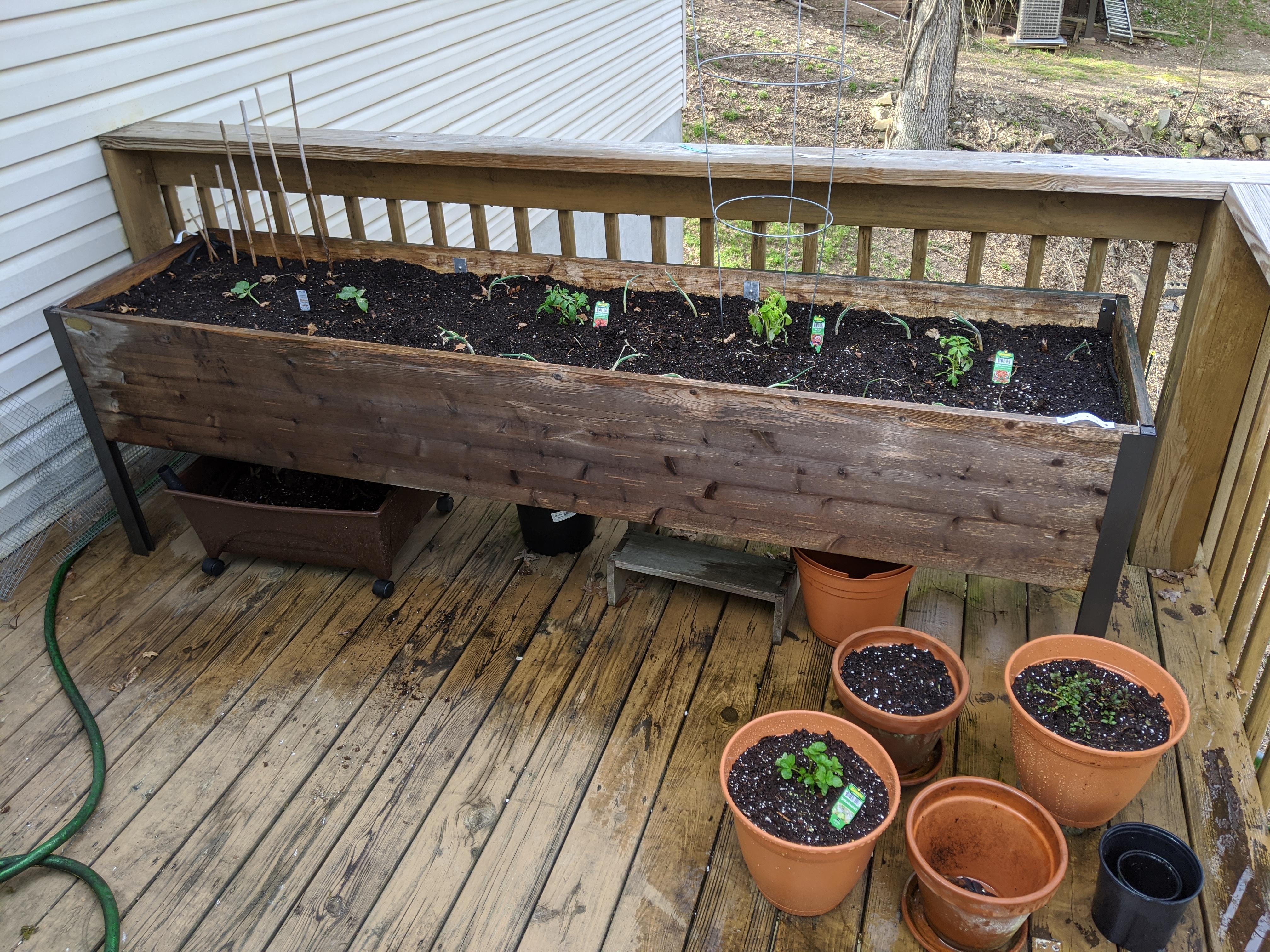 Container garden on a deck